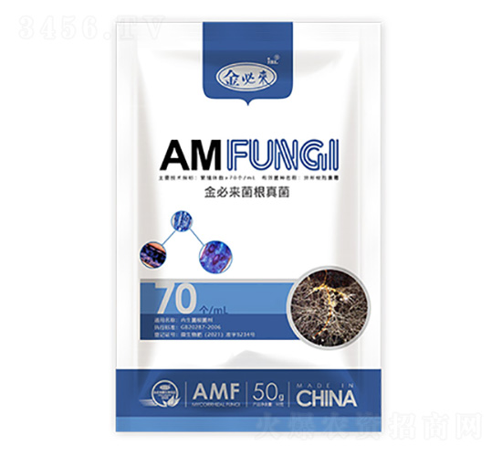 �������-��؁�����