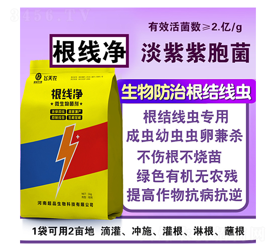 ������΢�������-��Ʒ����