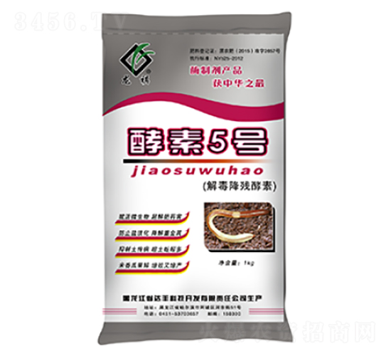 �ⶾ��������-����5̖-�_�S