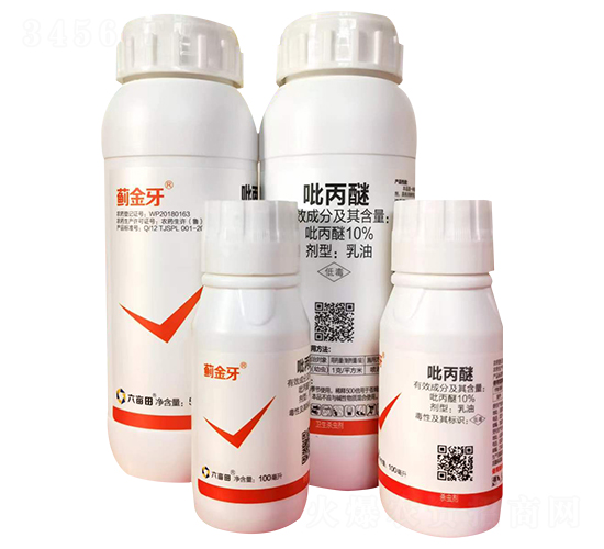 10%����������-�E����-������