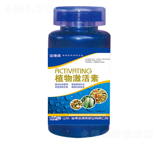 ֲ�Ｄ����-�Z����