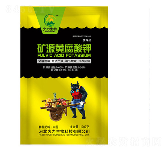 �VԴ�S�����-��������