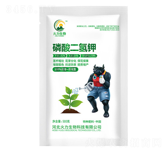 500g��������-��������