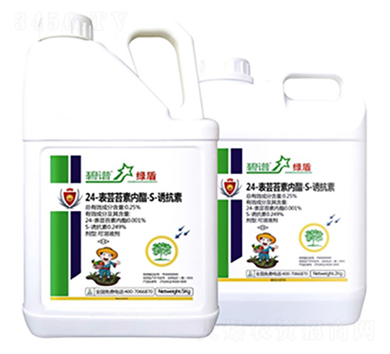 24-���|̦�؃�(n��i)����S-�T����-�G��-������r(n��ng)