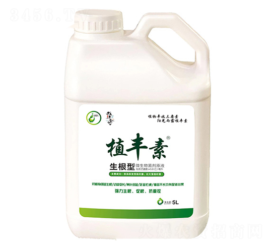 ������-ֲ�S��-������