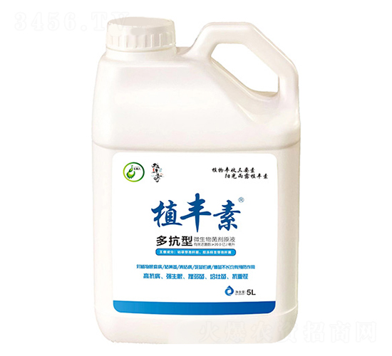 �࿹��-ֲ�S��-����������