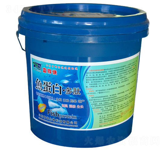 �~���׶���-���d����