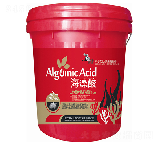 ������-�欔-�ʰl(f��)����