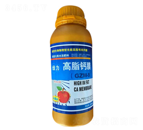 �G����֬�}Ĥ-�G��