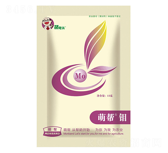 �Ȏ��f-�Ȏ�