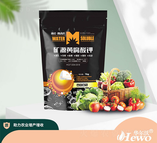 �VԴ�S�����-����-�A����