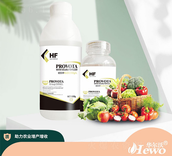 �Ǵ��-����-�A����