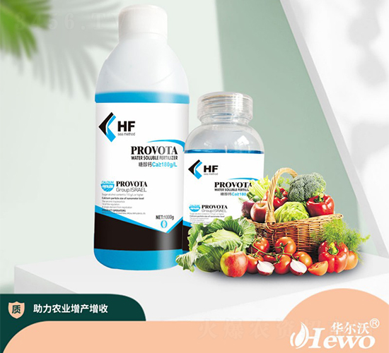 �Ǵ��}-����-�A����