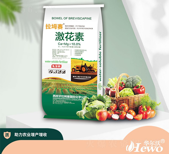 20kg������-����ِ-�A����