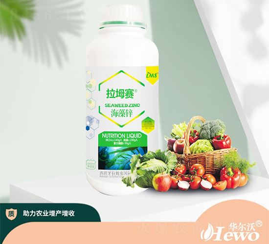 �����\-����ِ-�A����