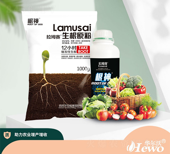 ����ԭ��-����ِ-�A����