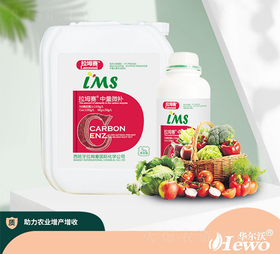 ����΢�a(b��)-����ِ-�A����