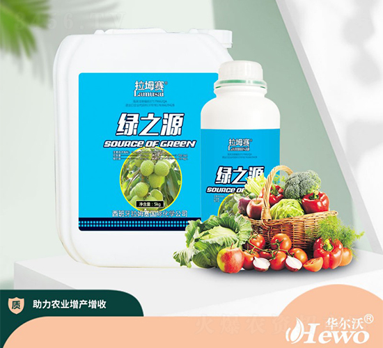 �G֮Դ-����ِ-�A����