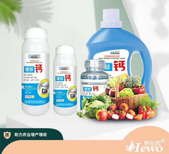 �Ǵ��}-�A����