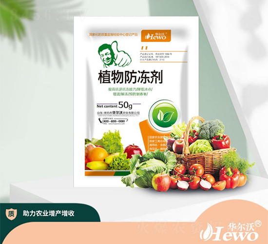 ֲ�������-�A����