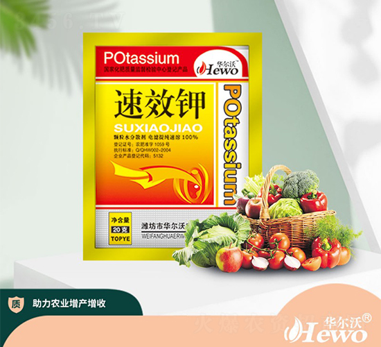 ⛷�-�A����