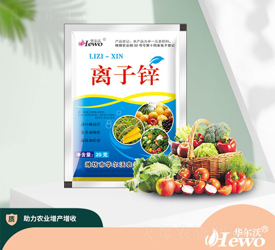 �x���\-�A����