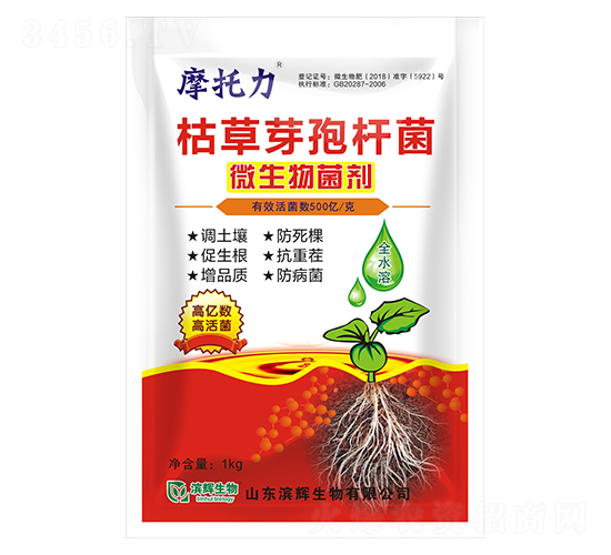 �ݲ�ѿ�ߗU��-Ħ����-�I�x����