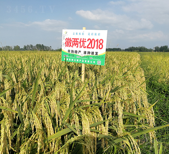 �ՃɃ�(y��u)2018-ˮ���N��-Ԭ�Z