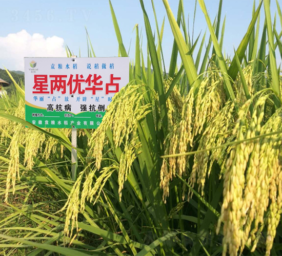 �ǃɃ�(y��u)�Aռ-ˮ���N��-Ԭ�Z