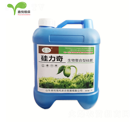 ���������͹��-������-�ΐ��r(n��ng)�I(y��)