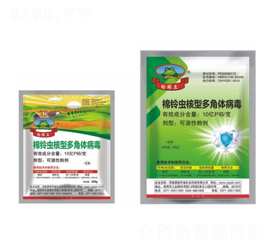 ����x���Ͷ���w����-�����-�¹�