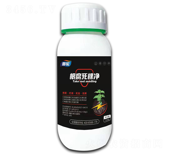 �������Ã�-���-�殀����