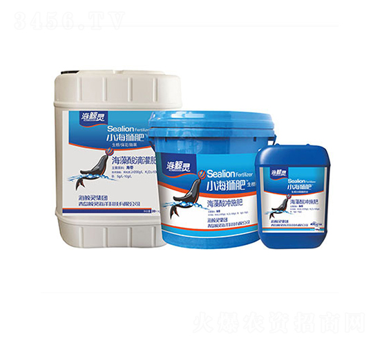 С���{��-���L�`