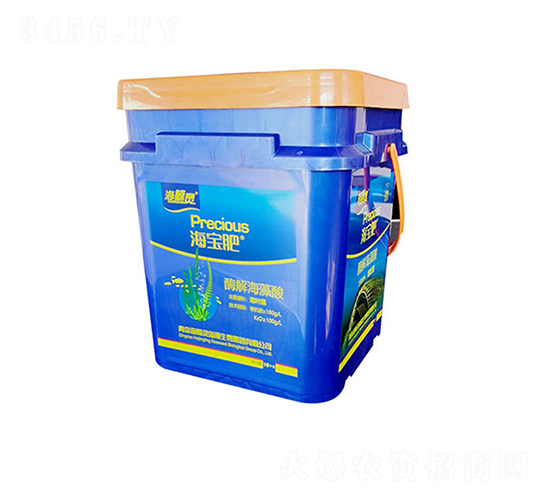 ø�⺣����-������-���L�`