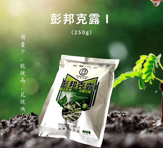 ��¶��̖-��������