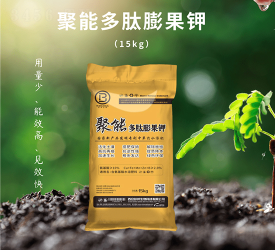 ���ܶ������⛷�-��������