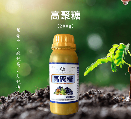 �߾��ǠI(y��ng)�B(y��ng)Һ-��������