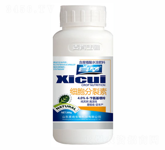 ����������-ϲ��-��������