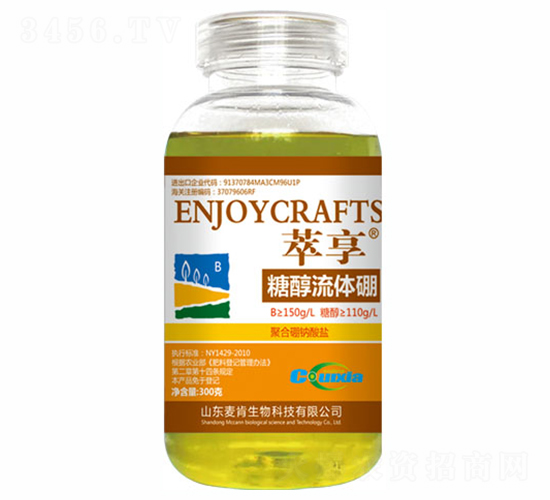 �Ǵ����w��-��������