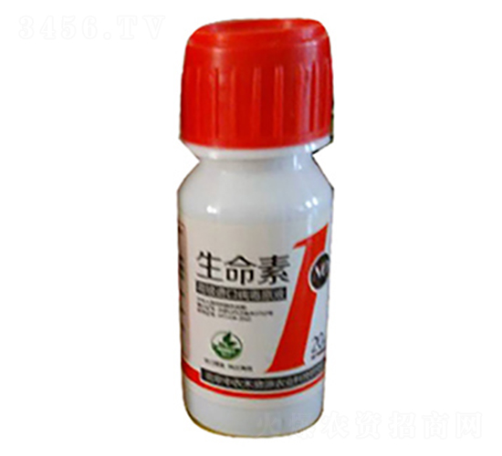 �����ޏ�(f��)��-������1̖(h��o)-���r(n��ng)����