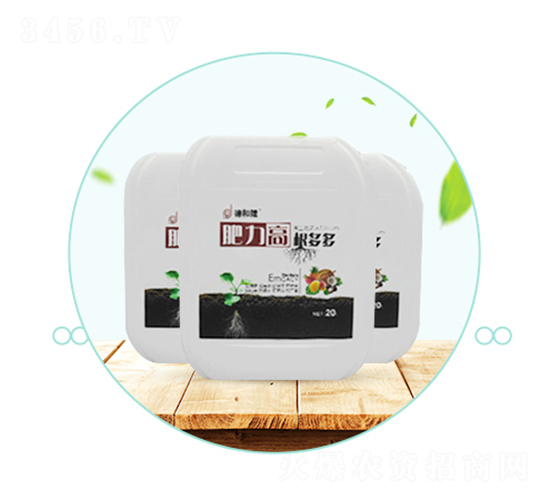 �����ߡ������-��������