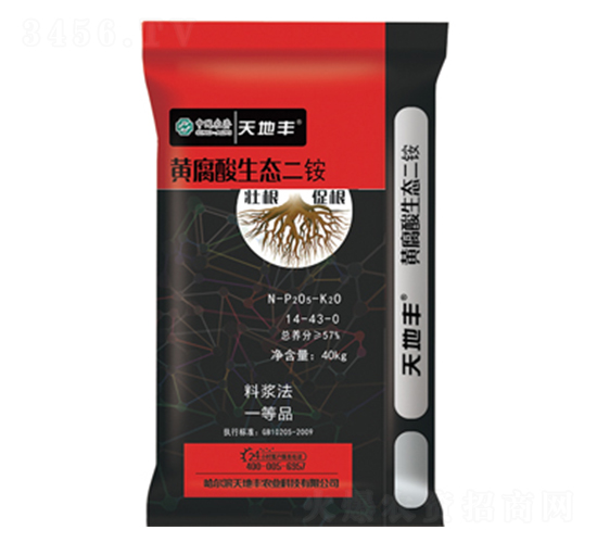 �S�������B(t��i)����-����S