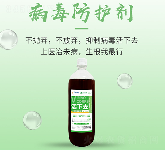 �������o(h��)��-����ȥ-���S����