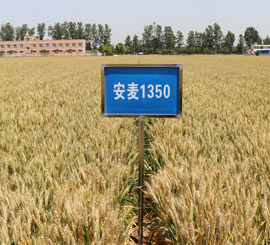 ����1350-С���N��-����r(n��ng)��