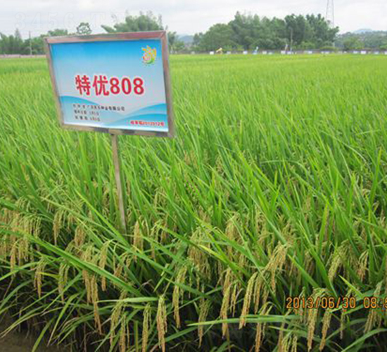 �؃�(y��u)808-ˮ���N��-�Aï�߿�