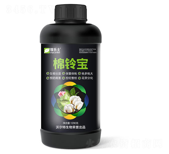 ��⏌�-�ژ���-�֠���