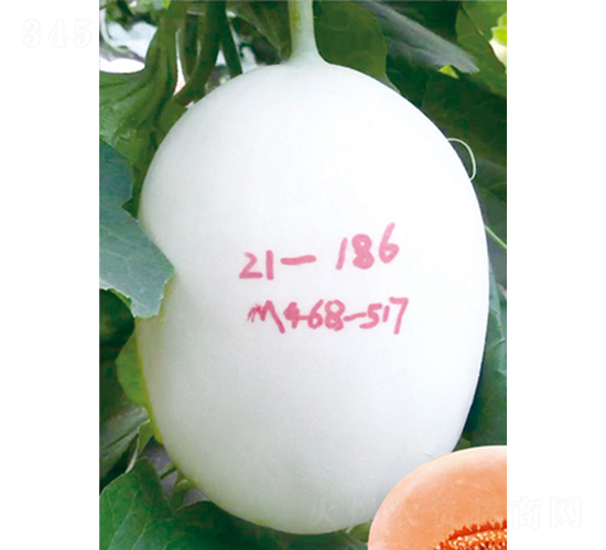 ��ʥ���y��10̖��468-517��-��ϷN��-��ʥ��