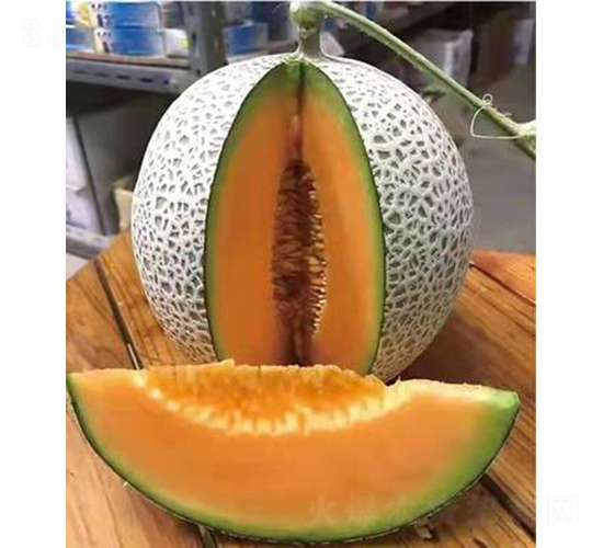 ��ʥ��M17-12-��ϷN��-��ʥ��