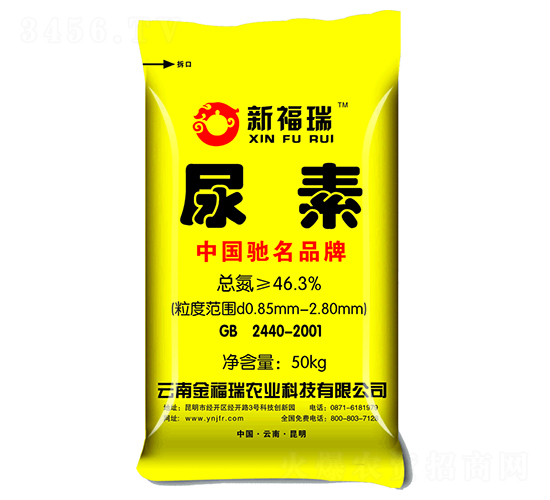 ����-�¸���-����