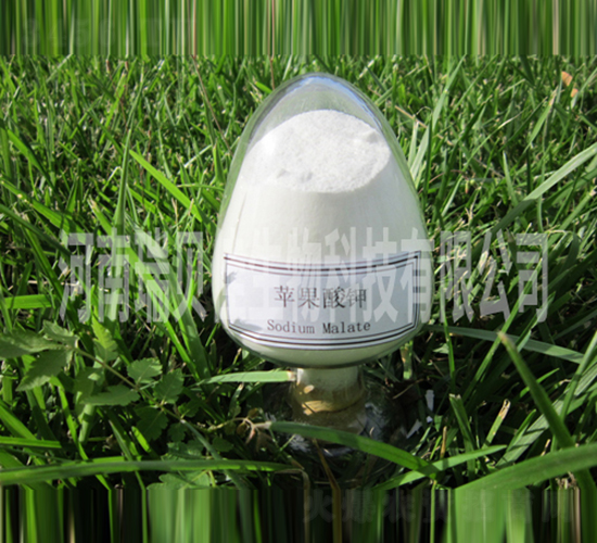 �O�����-��ؐ������